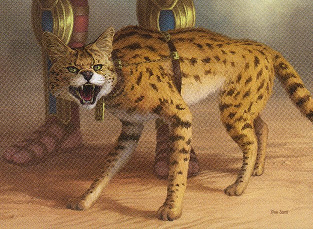 Initiate’s Companion