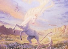 Mesa Unicorn