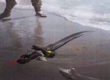 Pirate’s Cutlass