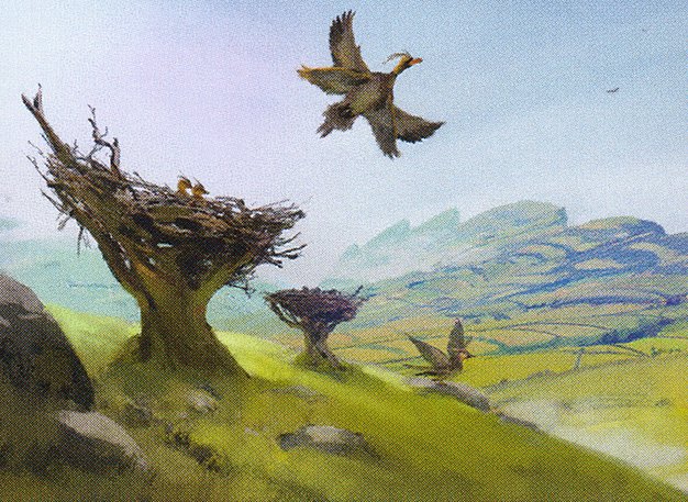 Plains