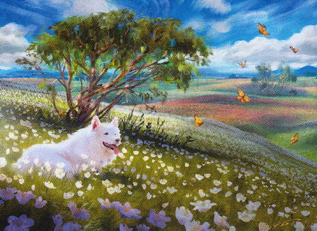 Plains
