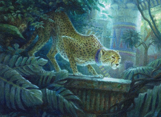 Pouncing Cheetah