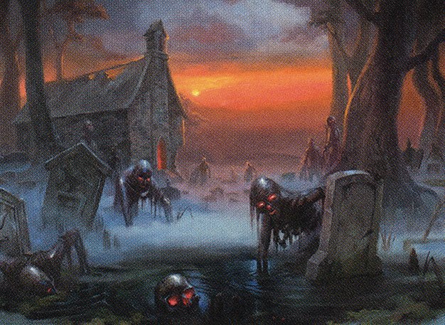 Swamp