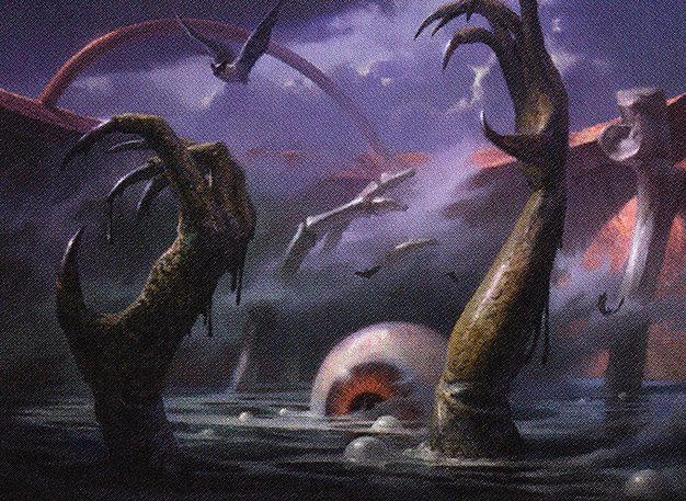Swamp