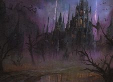Swamp