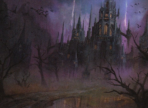 Swamp