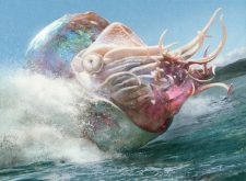 Crystalline Nautilus