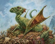 Fledgling Dragon