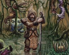 Krosan Wayfarer