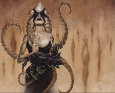 Masked Gorgon