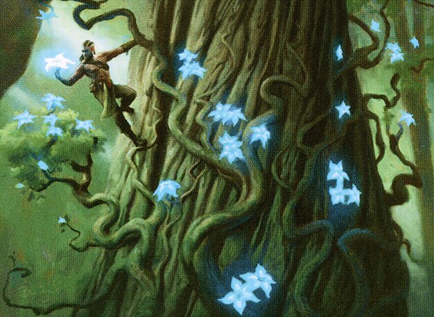 Bounty of Skemfar