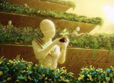 Harvest Season