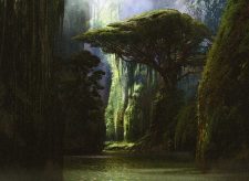 Jungle Hollow