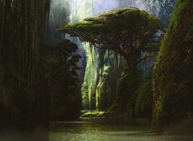 Jungle Hollow