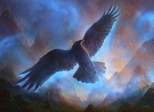 Mist Raven