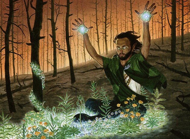 Springbloom Druid