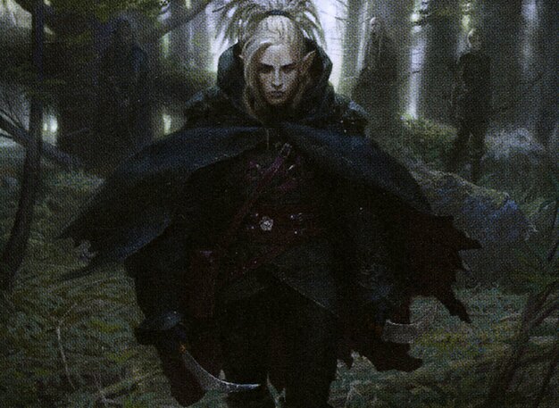 Timberwatch Elf