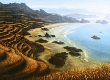 Tranquil Cove