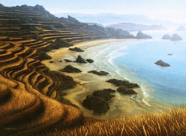 Tranquil Cove