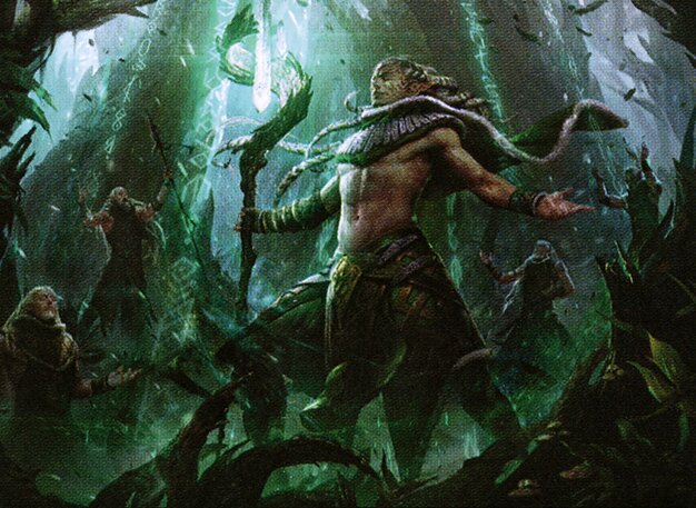 Voice of the Woods