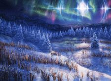 Arctic Treeline