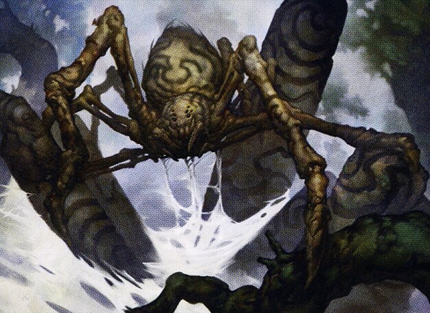 Gnottvold Recluse