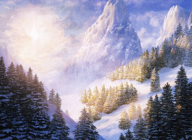 Highland Forest