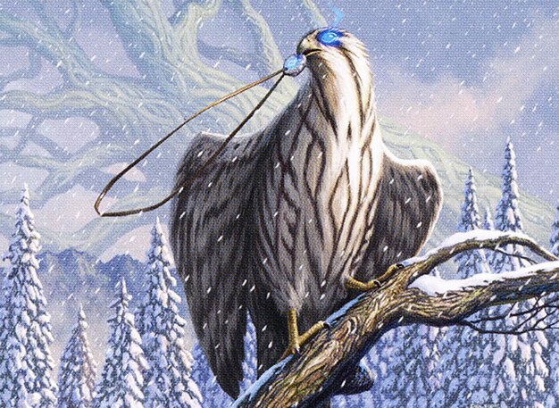 Pilfering Hawk