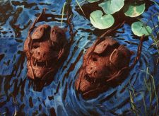 Reflections of Littjara