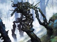 Rootless Yew