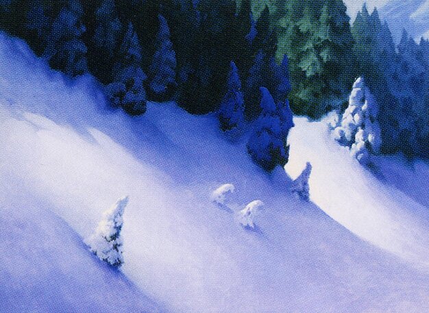 Snow-Covered Forest