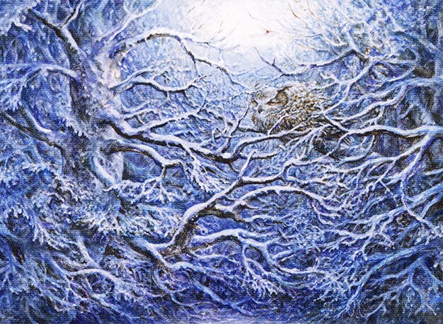 Snow-Covered Forest