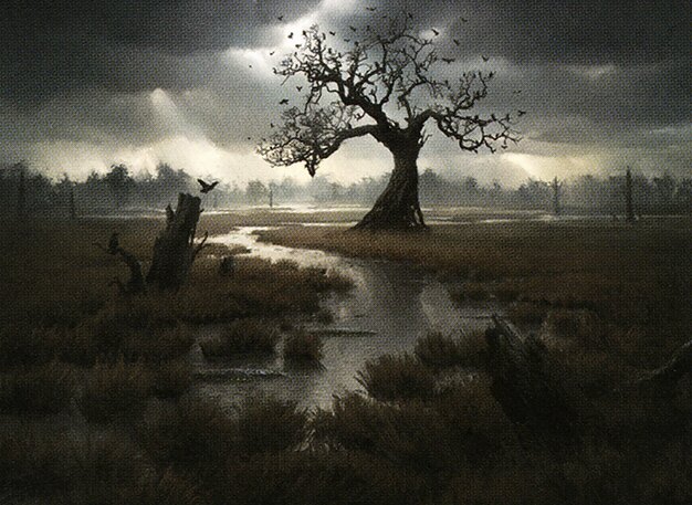 Swamp