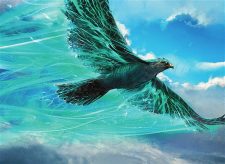 Eddytrail Hawk
