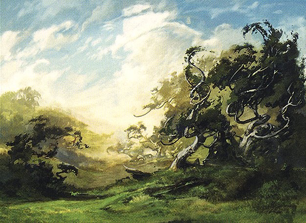 Forest