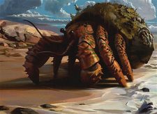 Hightide Hermit