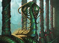 Narnam Cobra