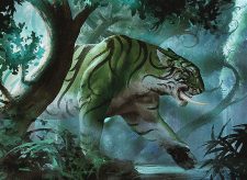 Riparian Tiger