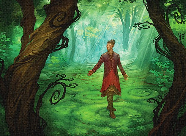 Sage of Shaila’s Claim