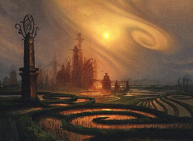 Swamp