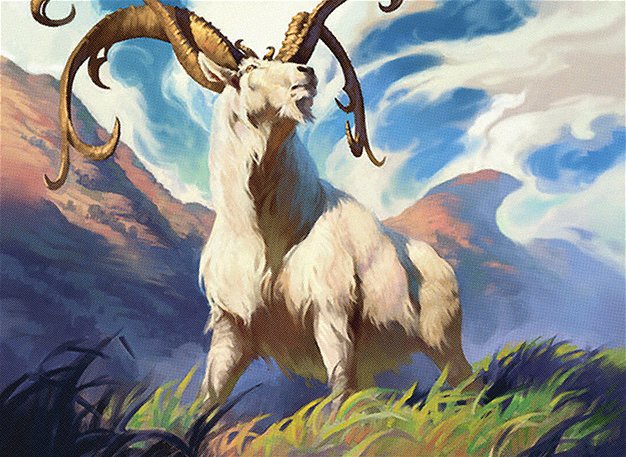 Thriving Ibex
