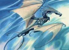 Wind Drake