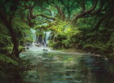 Woodland Stream