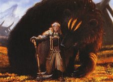Bear’s Companion