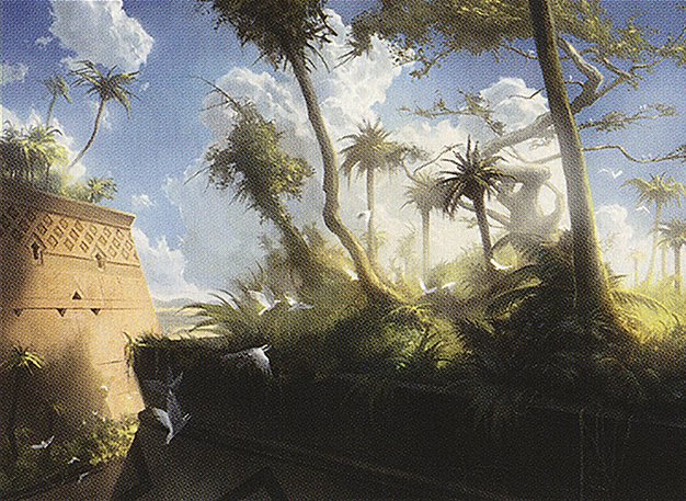 Forest