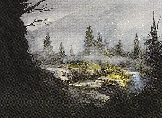 Forest
