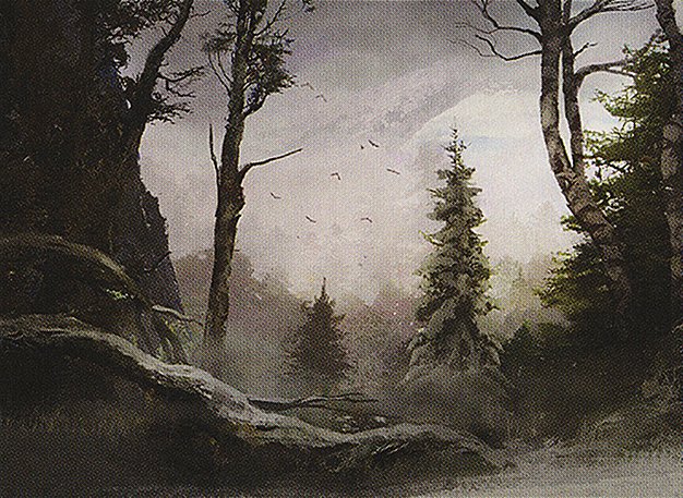 Forest