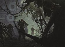 Scout the Borders