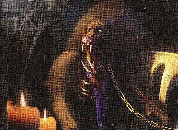 Sidisi’s Pet