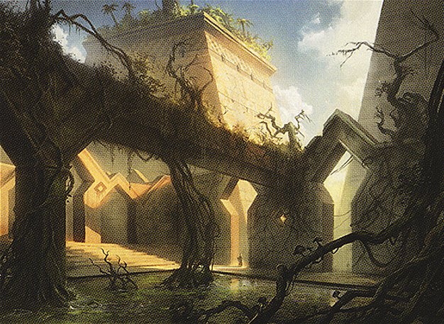 Swamp